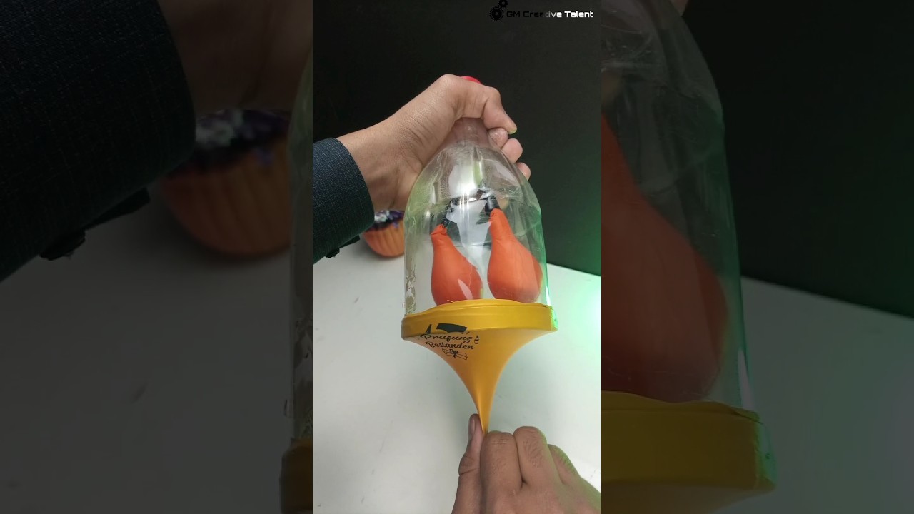Figure 1: Working Model Setup, Scientific Diagram & Project Prototype for Working Model Of Lungs With Diaphragm