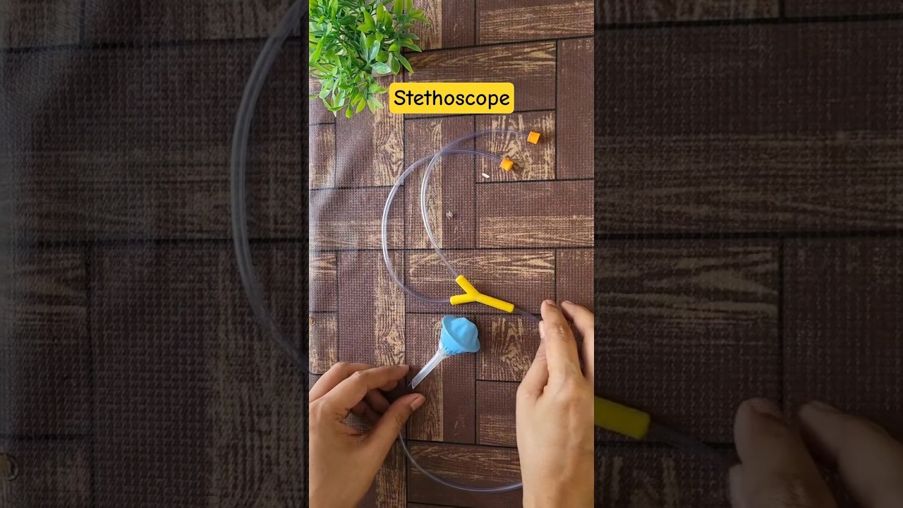 Figure 1: Working Model Setup, Scientific Diagram & Project Prototype for Working Model Of Stethoscope