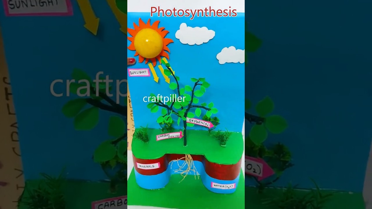 Figure 1: Working Model Setup, Scientific Diagram & Project Prototype for Xerophytic Nerium Sunken Stomata Waxy Cuticle Model