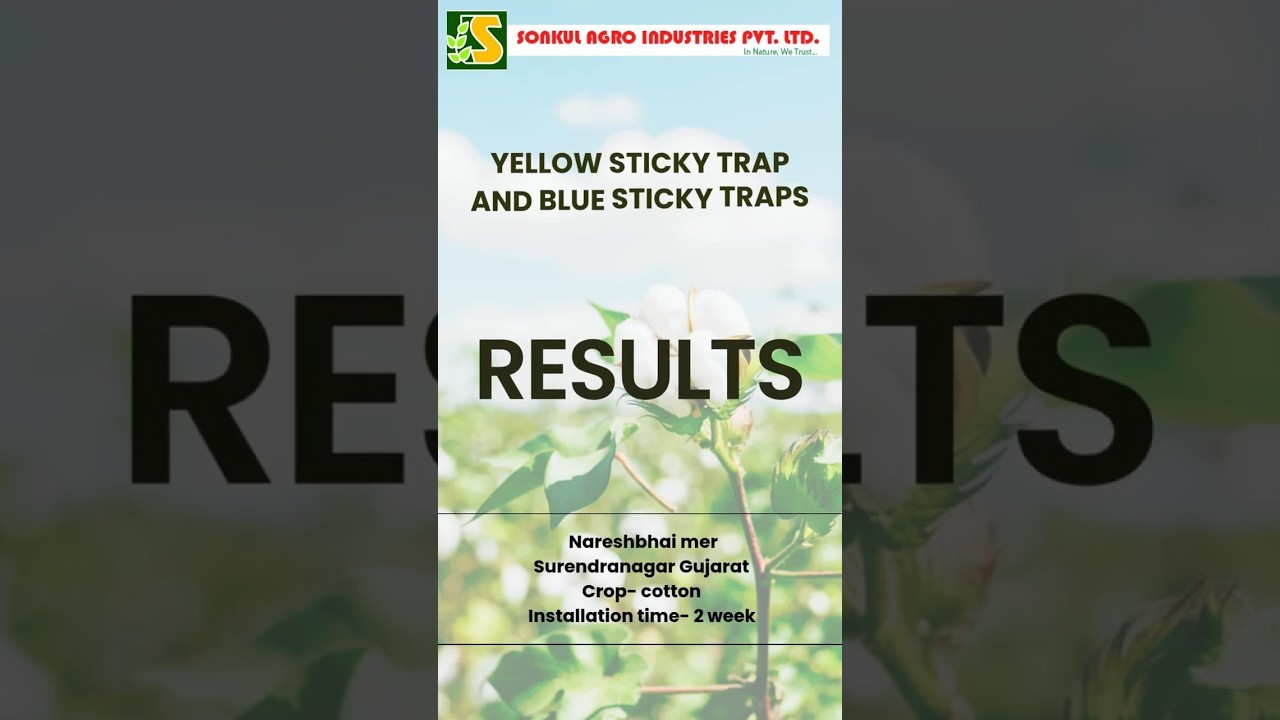 Figure 4: Working Model Setup, Scientific Diagram & Project Prototype for Yellow Sticky Trap Aphid Whitefly Monitoring Card