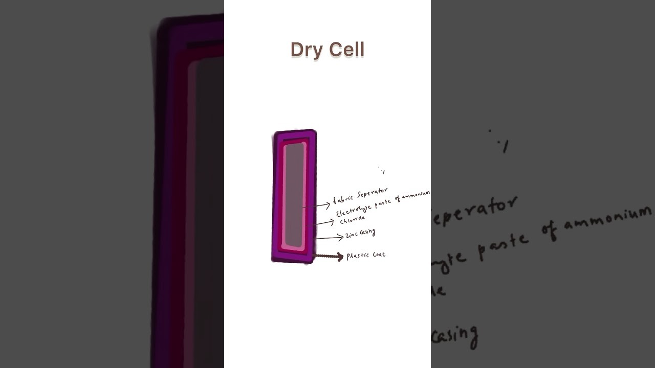 Figure 4: Working Model Setup, Scientific Diagram & Project Prototype for Zinc Carbon Dry Cell Dissection Components Display