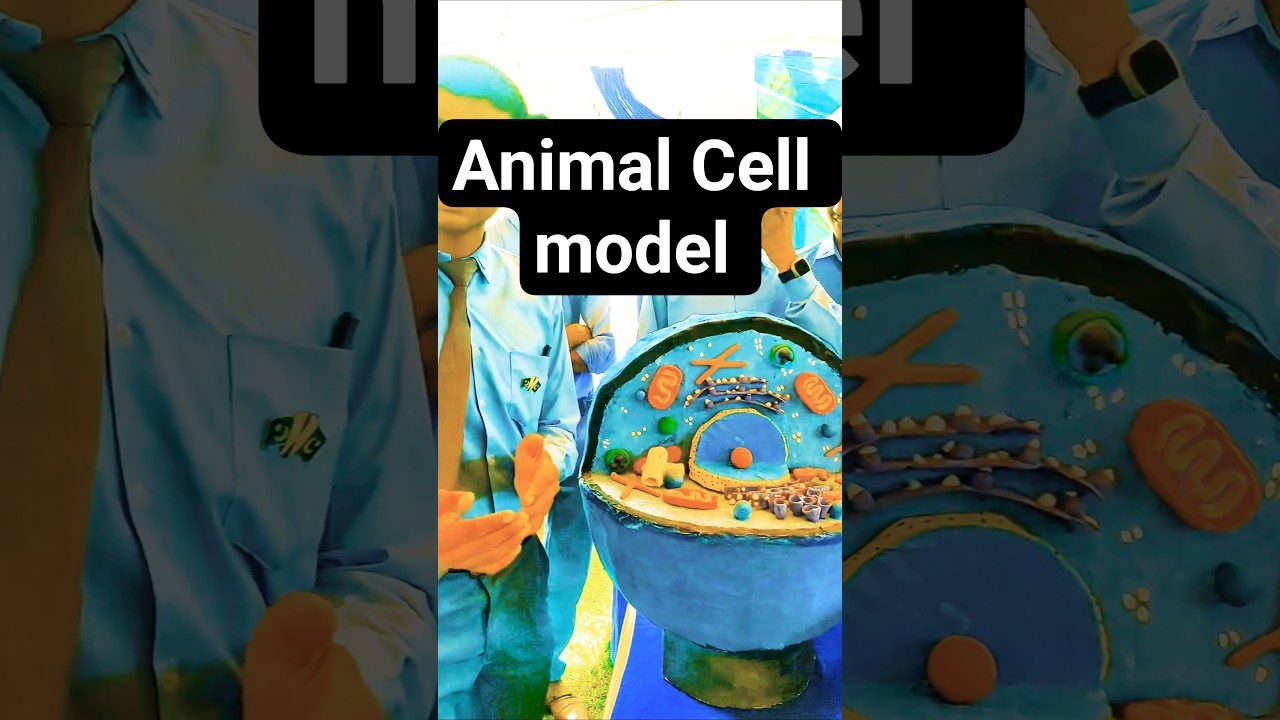 Figure 3: Working Model Setup, Scientific Diagram & Project Prototype for Zoochory Hooked Cocklebur Animal Fur Attachment Model